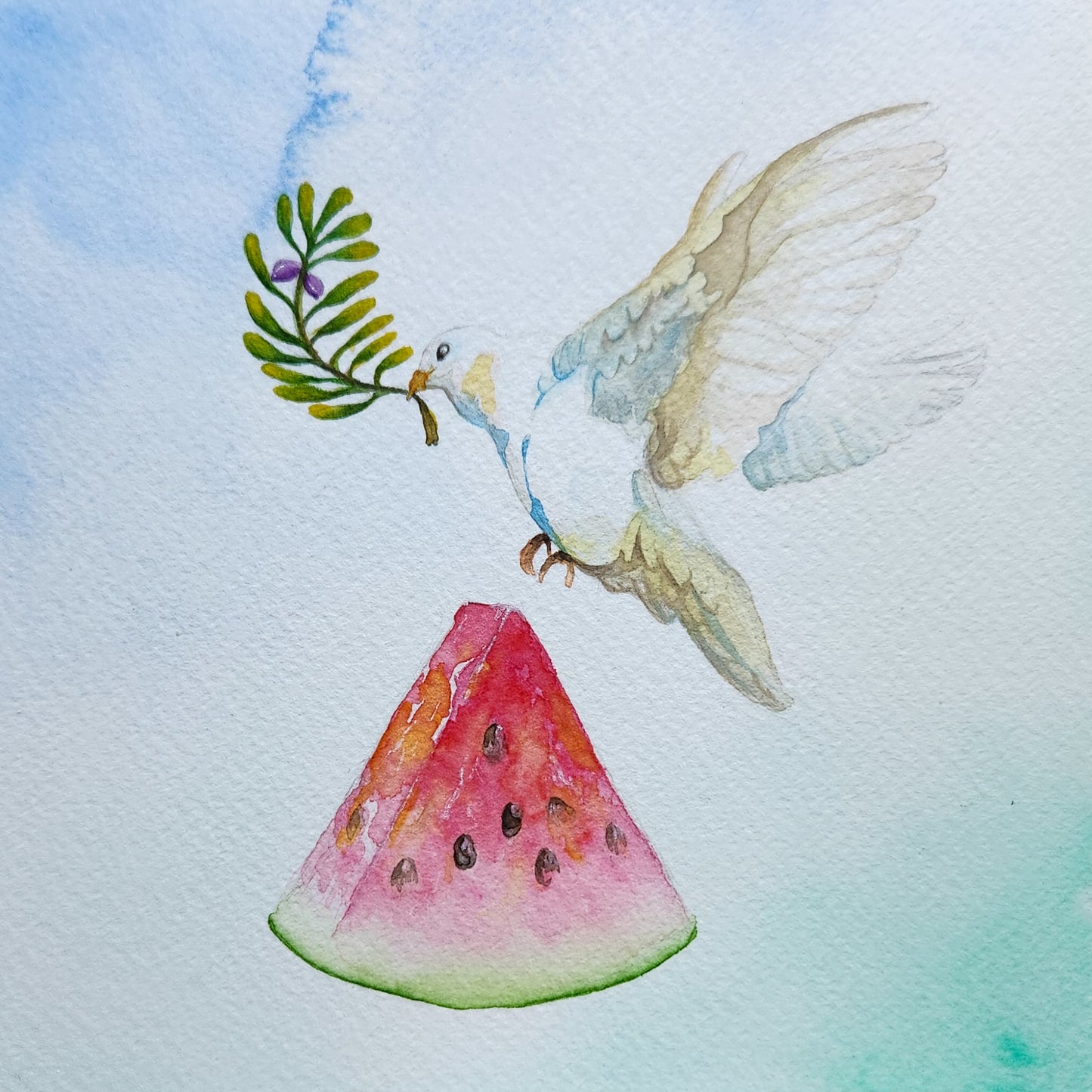 Dove and Watermelon